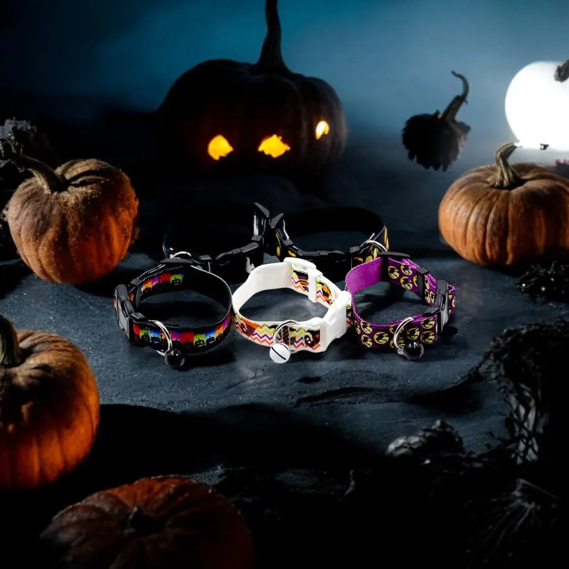 Halloween Dog Collar Pets Hub Co